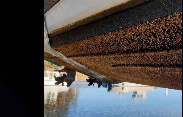Scafo con incrostazioni pesanti